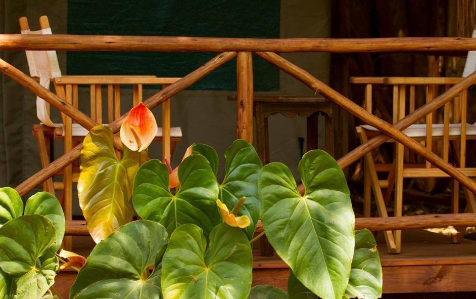 Simbamwenni Lodge And Camping Morogoro 외부 사진